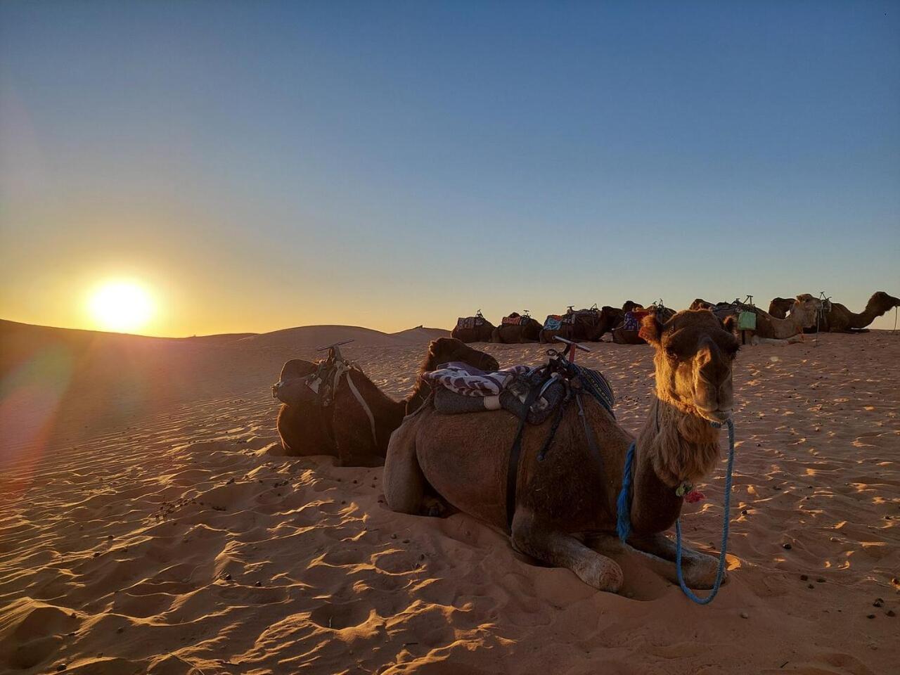 Desert Experience Glamping Merzouga Eksteriør bilde